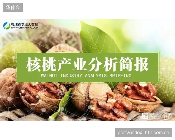 超过42%的赛事旅游产品因高额差旅对冲机制导致最终零售溢价失控